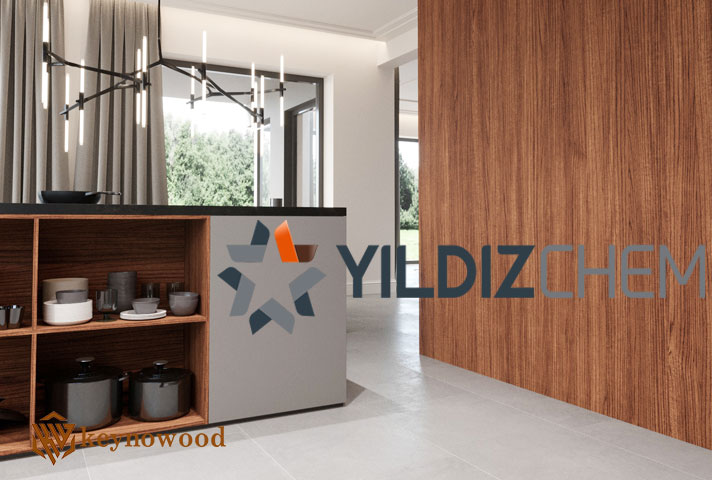 یلدیز (Yıldız Entegre)